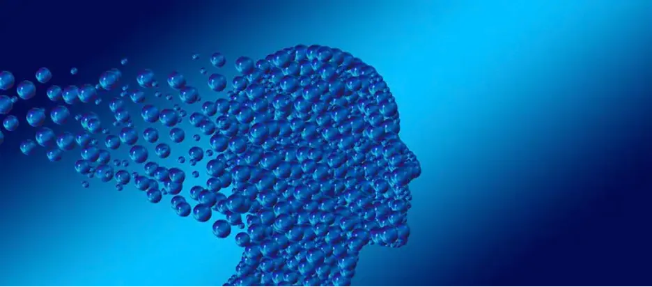 Unlearning bubble head