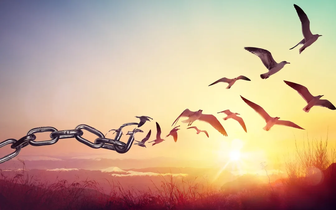 Slowing Down: Letting Go, Letting Be, Letting Come