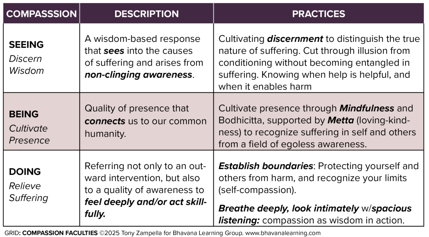 GRID-Compassion-Faculties