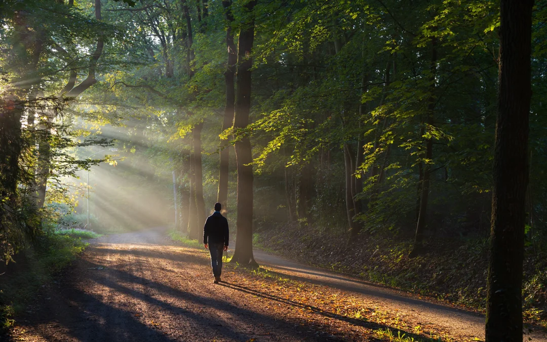 Care Beyond Emotion, part 1: Toward the Structure of Being