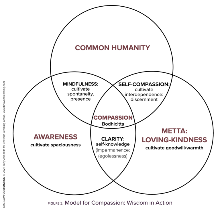 model-for-compassion