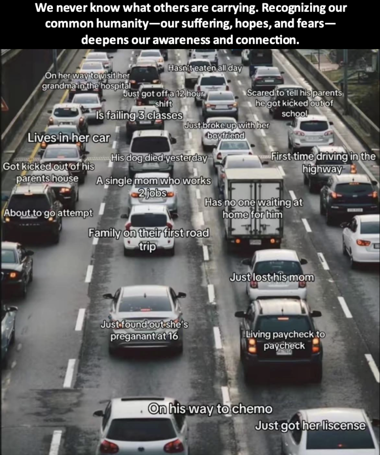 traffic-compassion