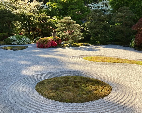 Wisdom Retreat