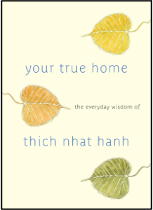 your-true-home-tnh