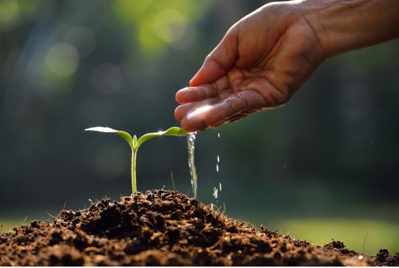 cultivate-organic-mindset cultivate-organic-mindset