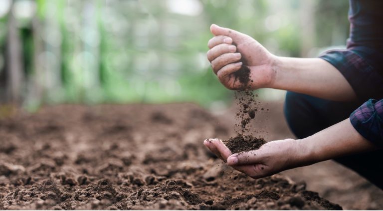 dirt