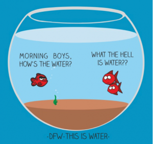 fish-bowl
