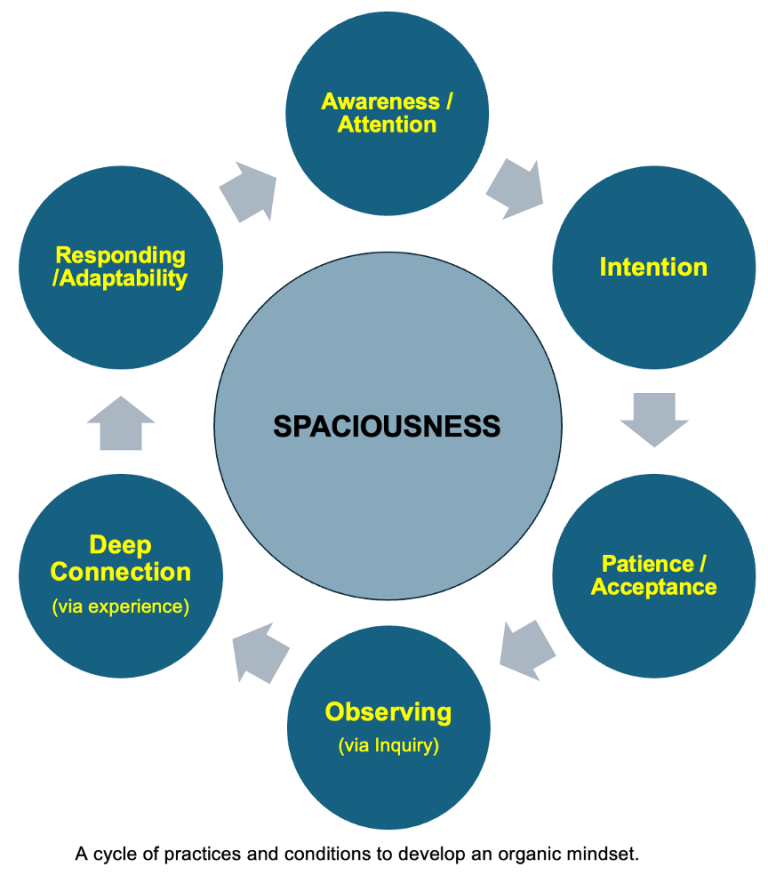 spaciousness-circle