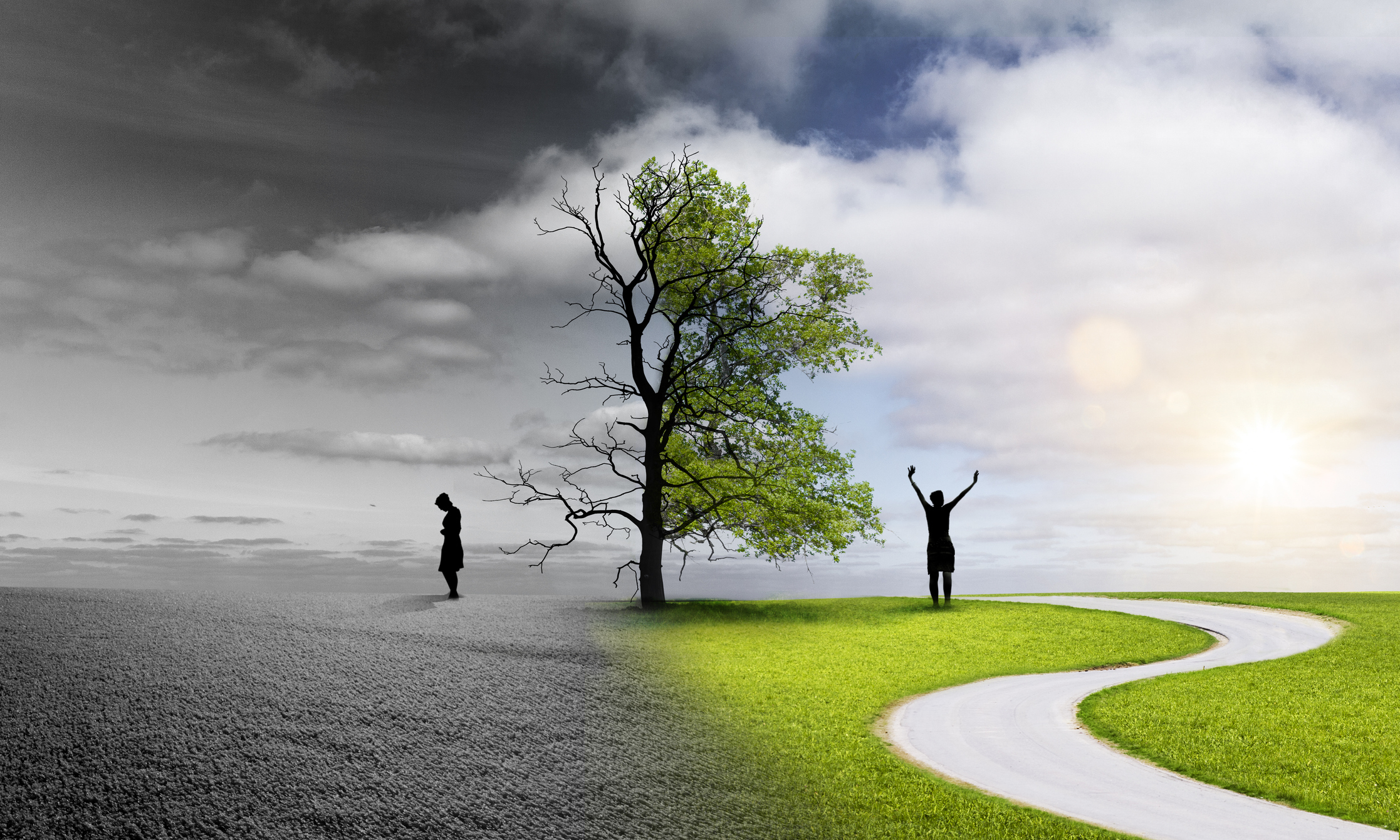 tree-and-person-b