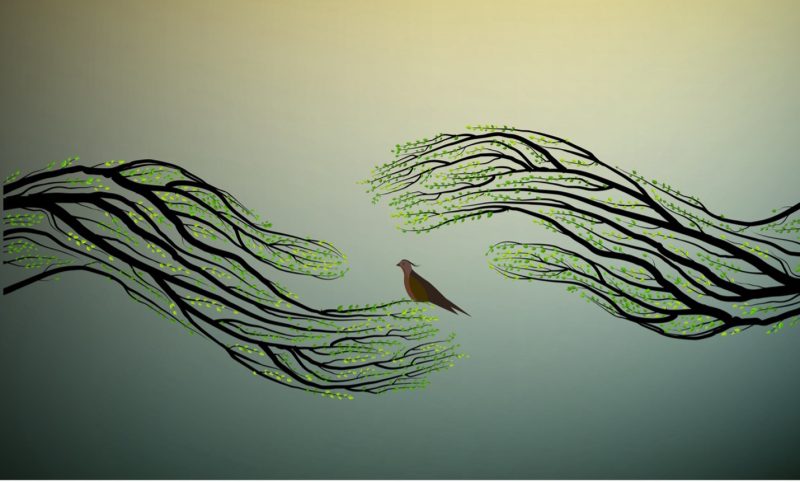 wisdom-of-co-creation wisdom-of-co-creation