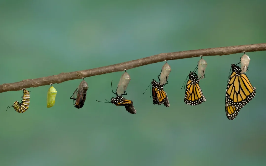 The Experience of Being in 12 Practices – Part 1
