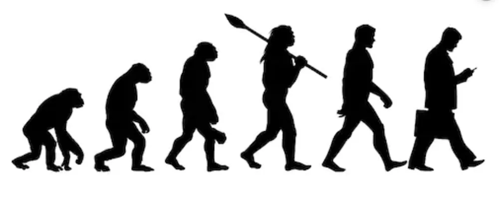 Evolution