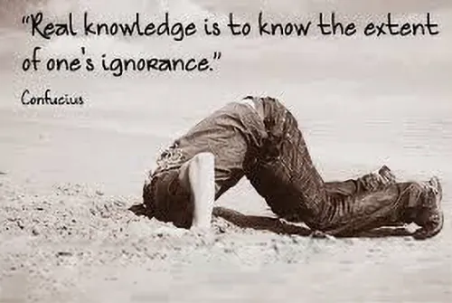 The Power of Not Knowing