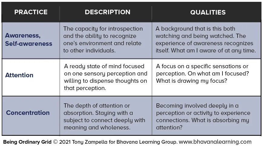 Practice Description Qualities