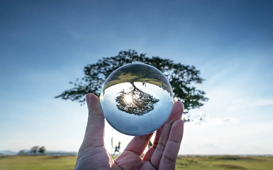 Transparent Cultures require Commitment