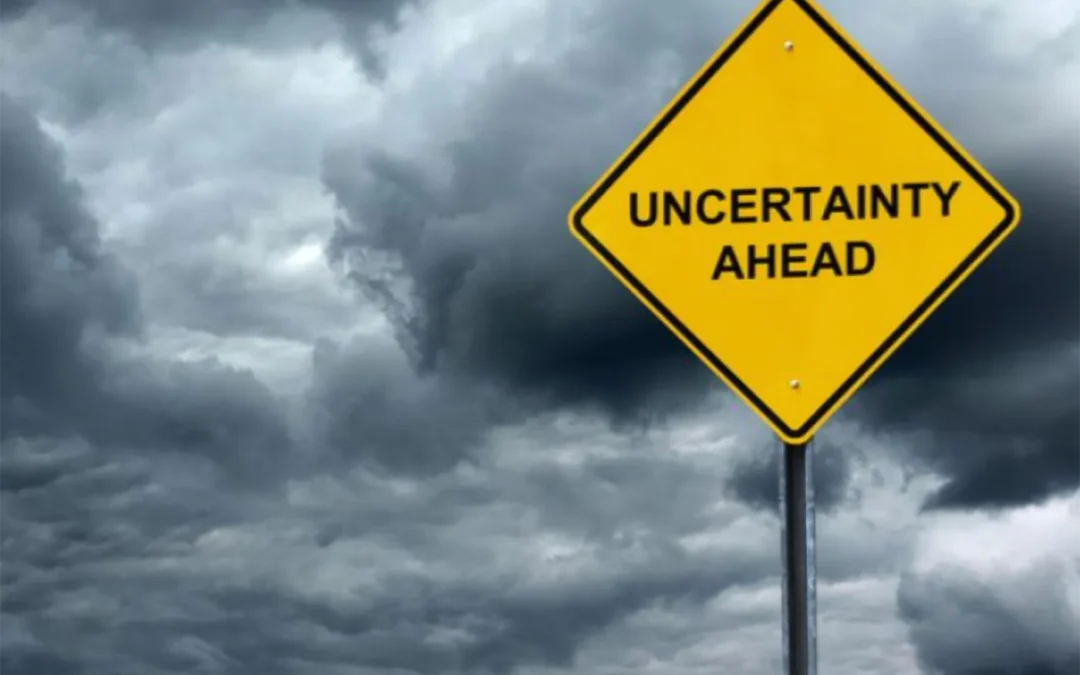 COVID-19 Reveals the Nature of Uncertainty