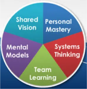 Five disciplines wheel