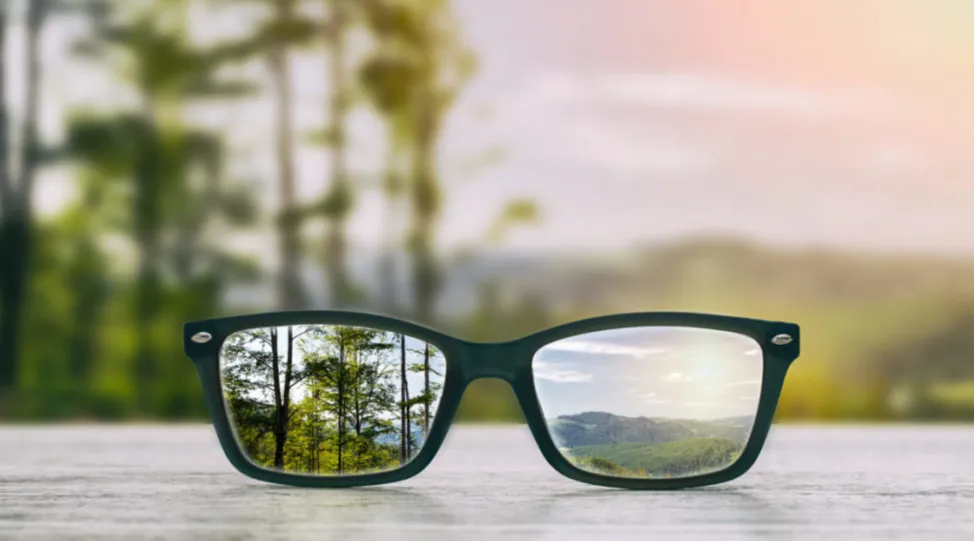 Glasses landscape